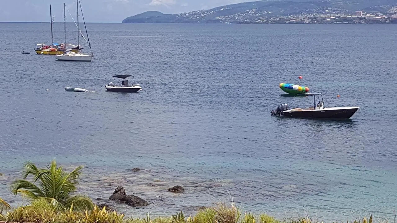 Appartement STUDIO 3 ILETS PIEDS DANS L EAU et PISCINE Les Trois-Ilets